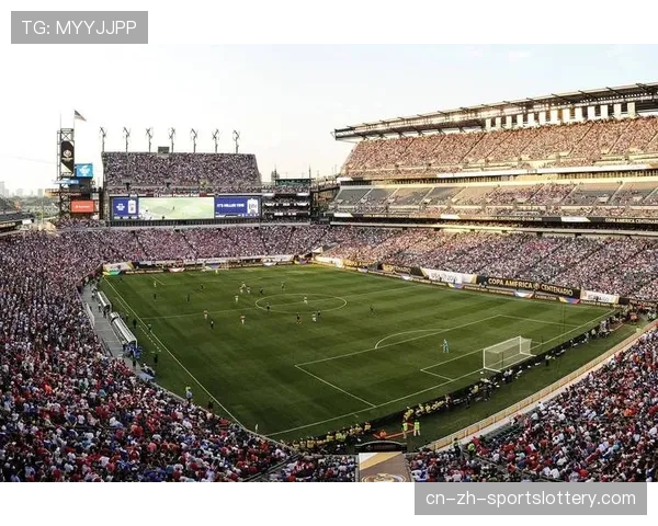 为申办2030世界杯，法国多地启动球场翻新，政府补贴与俱乐部投资比例成焦点